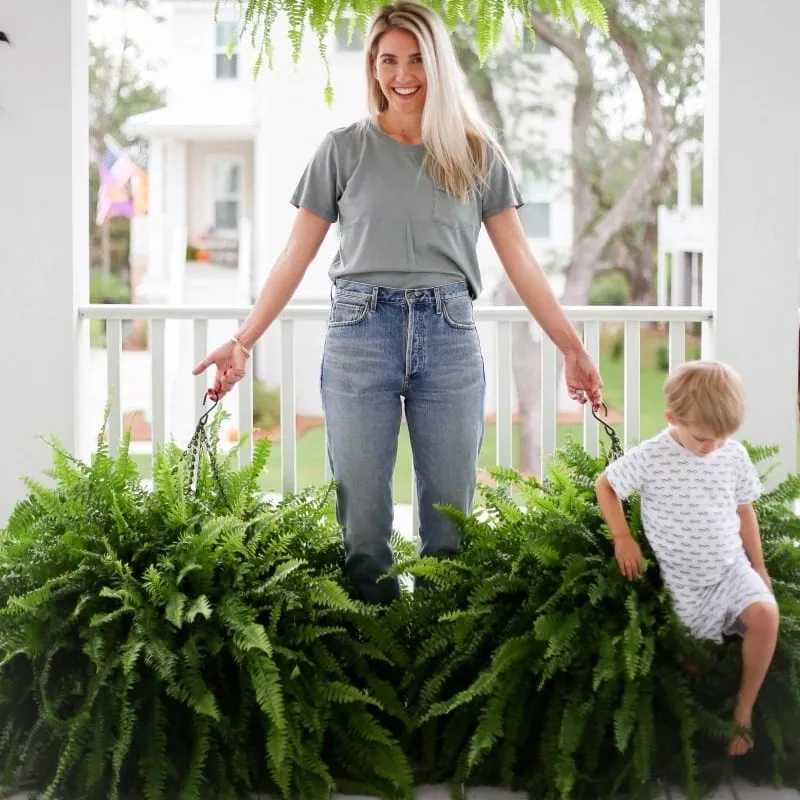 🔥$9.98 On Sale Today Only🌱 UV-Resistant Lifelike Artificial Boston Fern