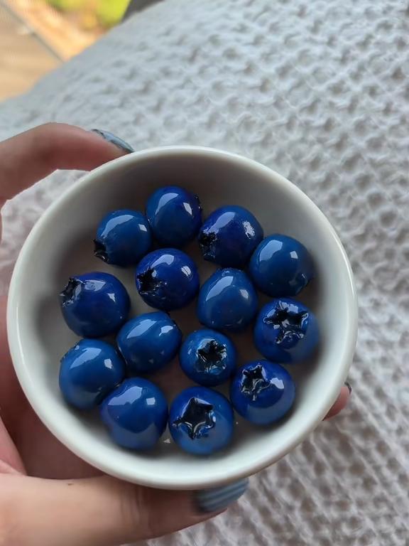 Handmade Blueberry Ceramic Magnets