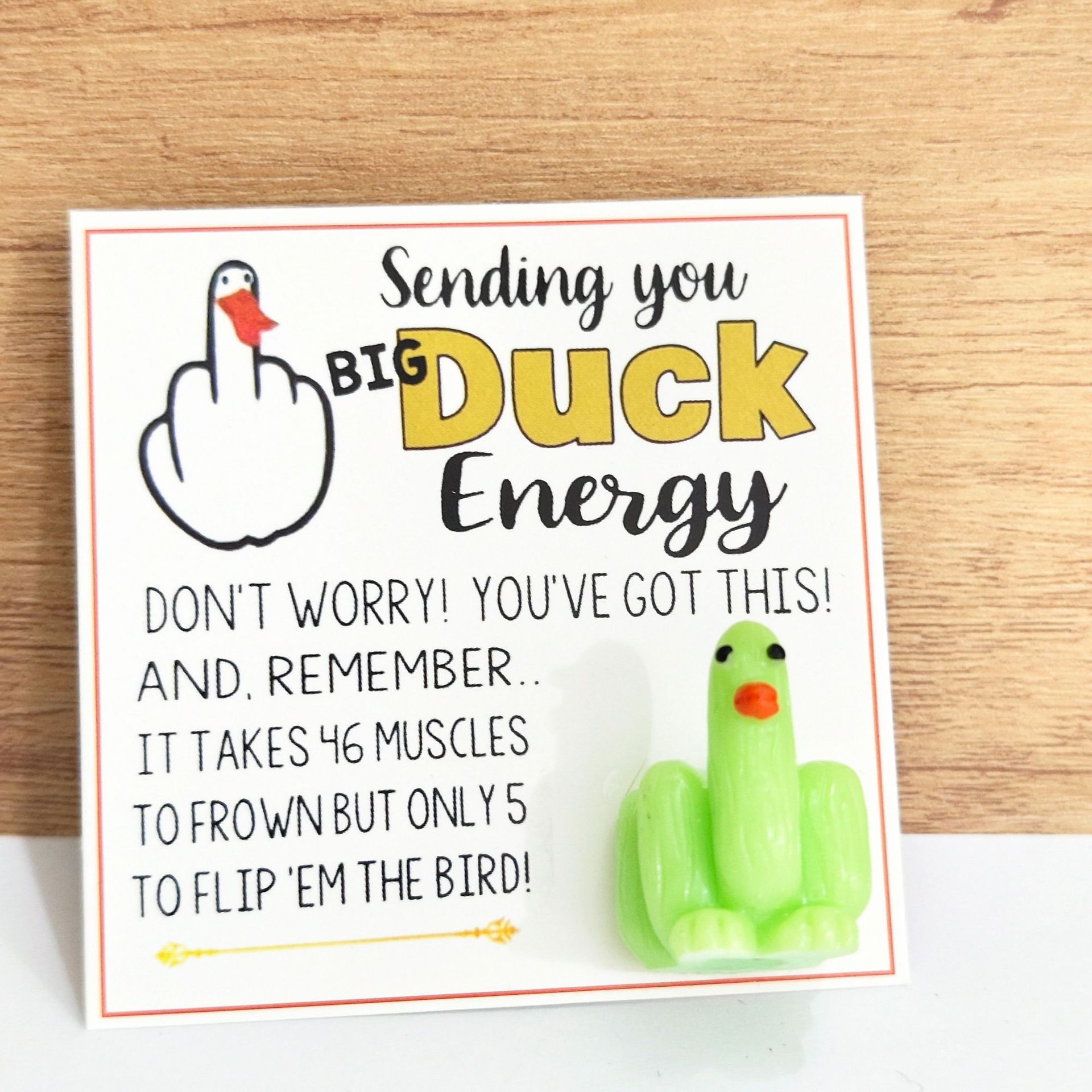 🤣Funny Middle Finger Duck Lucky Charm Gift