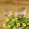 (🔥Last Day Promotion-SAVE 50% OFF) Self-Watering Plant Glass Bulbs