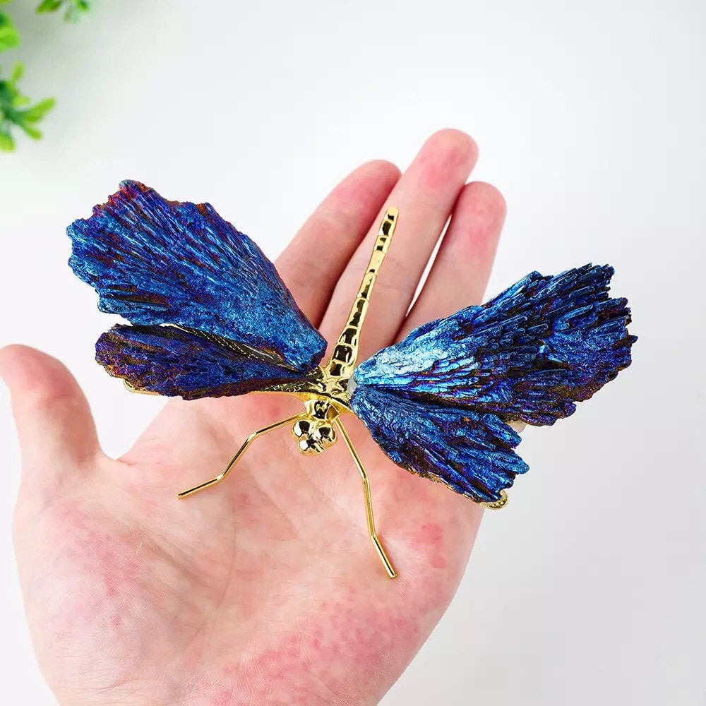 💜🦋AURA TOURMALINE KYANITE DRAGONFLY