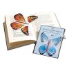 Early Christmas Hot Sale 50% OFF- Magic Butterfly Flying Card Toy(Buy 20 Free Shipping)