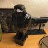 2025 New The Falcon Statue Prop