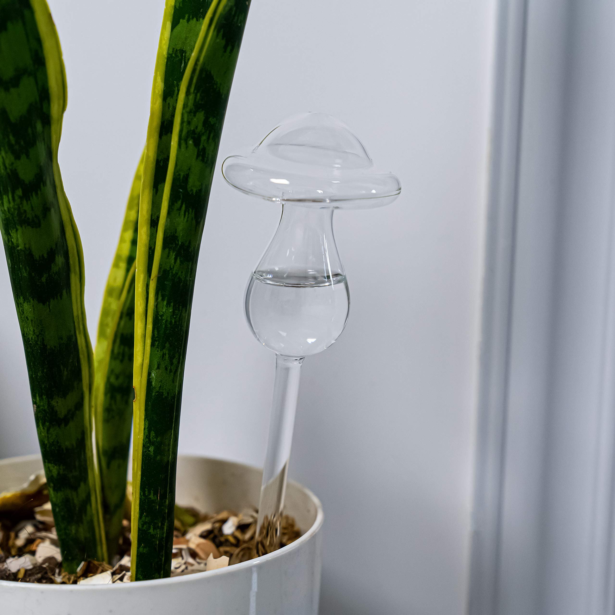 🎁TikTok Last Day Sale - 70% OFF✨ Mushroom Shaped Self-Watering Globes