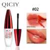 🔥Last Day Promotion 70% OFF🔥Tattoo Lip Gloss 4 Colors