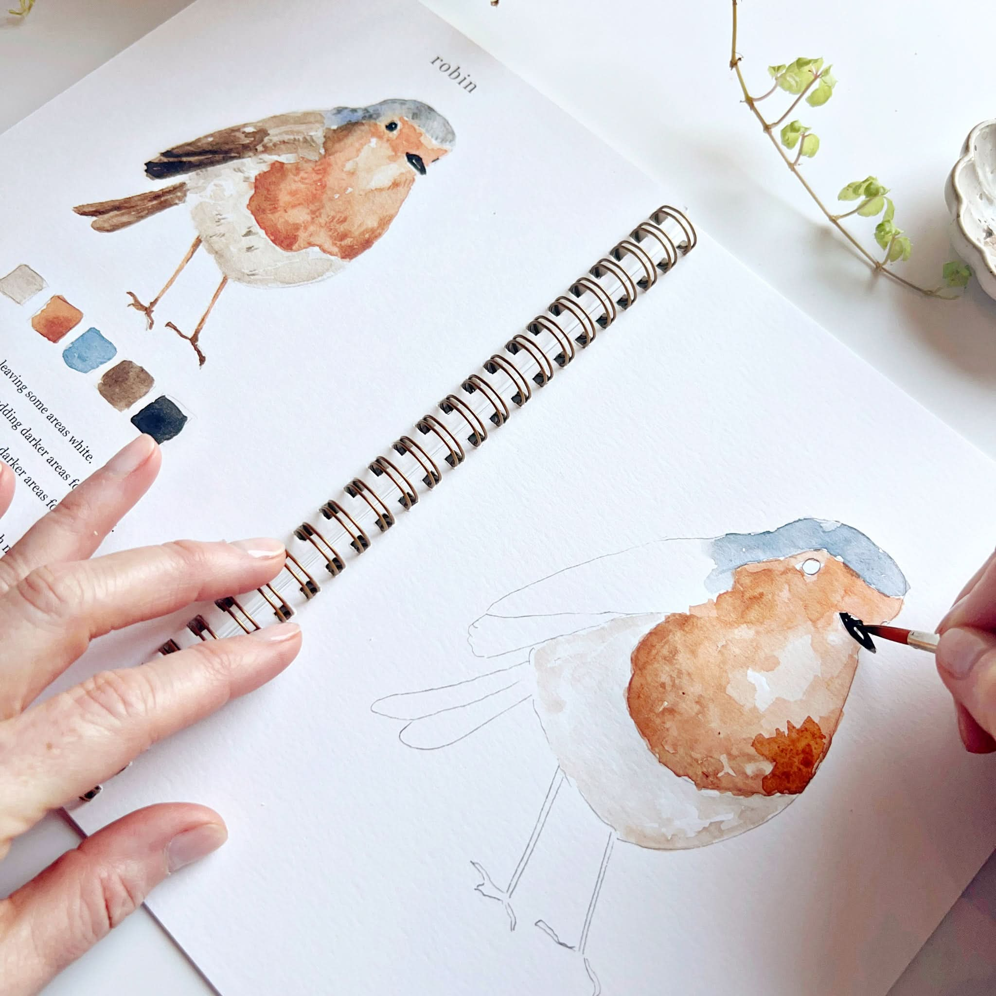 🦜Birds Watercolor Workbook