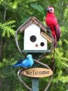 🐝September Special: 50% off! Handmade outdoor birdhouses and garden decorations