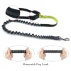 🐈🐕‍🦺HOT SALE 48% OFF - Handsfree Bungee Dog Leash with Waist Bag(🔥🔥BUY 3 GET 2 FREE&FREE SHIPPING)