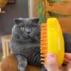 😻 HOT SALE 😻3 In1 Pet Self Cleaning Steamy Brush