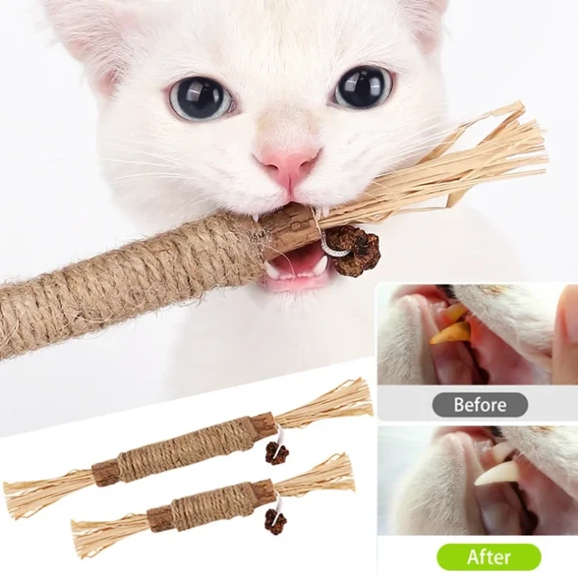 🔥New Year Promotion 48% OFF🐶😺Natural Silvervine Stick Cat Chew Toy