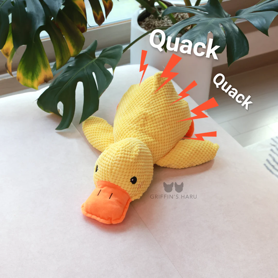 (🔥TikTok Summer SALE)-Quack-Quack Duck Dog Toy🦆