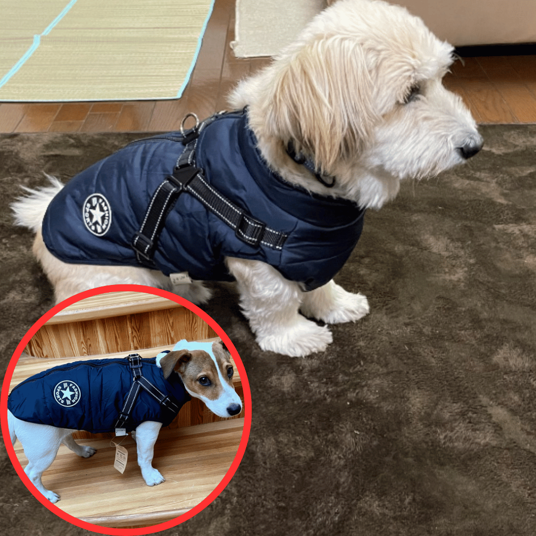 (🌲Christmas Sale- SAVE 48% OFF)Waterproof Winter Dog Jacket with Built-in Harness-Buy 2 Get Free Shipping