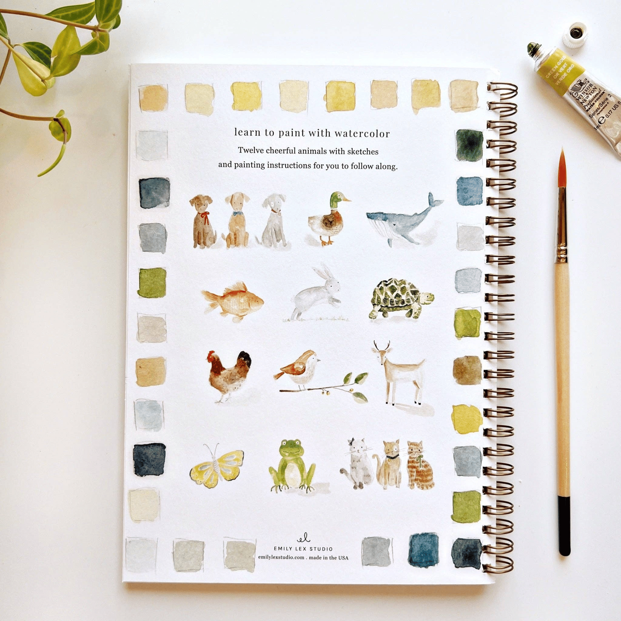 🔥LAST DAY 55% OFF - 🖼️Beginner-Friendly💕 Watercolor Workbook