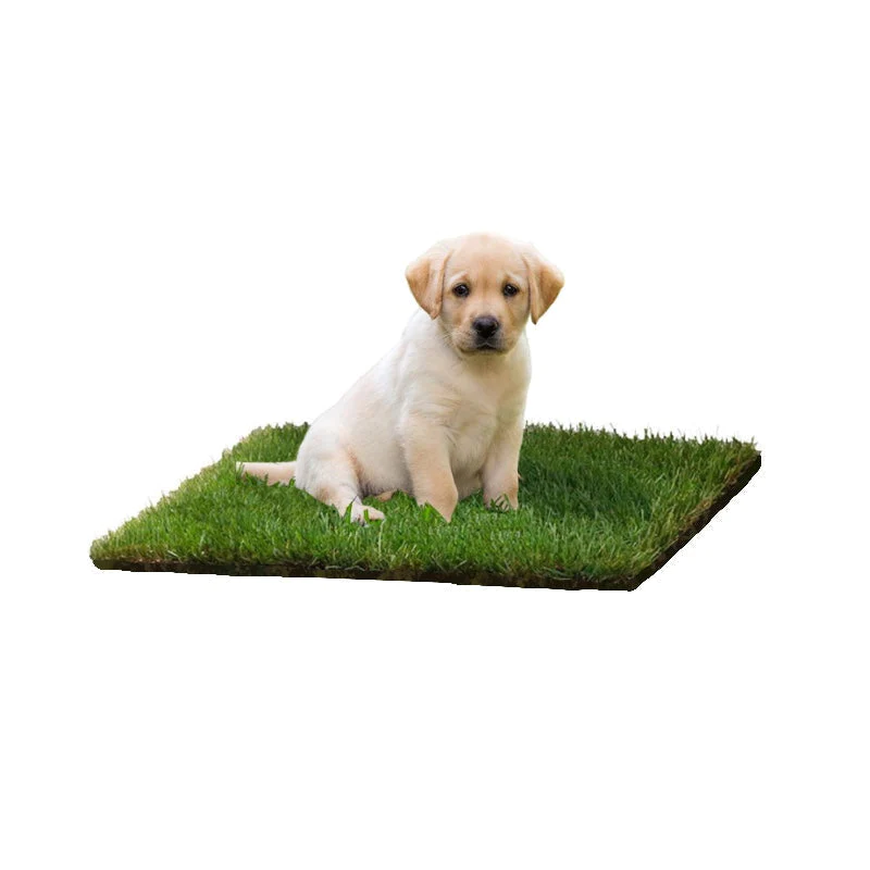 🎄Christmas Hot Sale 70% OFF🎄DOG LAWN