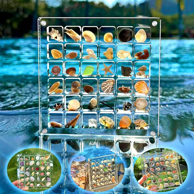 (✨Hot Sale Now)--Acrylic Magnetic Seashell Display Box