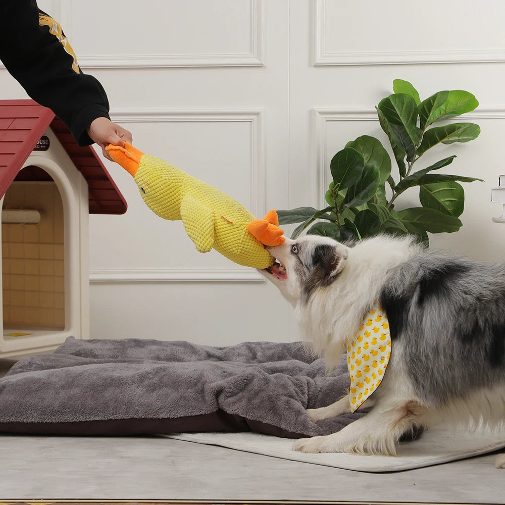 (🎄EARLY CHRISTMAS SALE - 50% OFF) 🎁Quack-Quack Duck Dog Toy