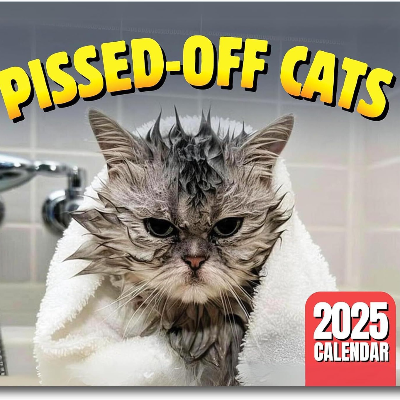 HOT SALE🔥Cat Calendar 2025