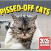 HOT SALE🔥Cat Calendar 2025