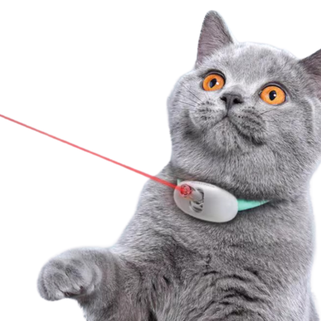 (🌲Early Christmas Sale- 49% OFF) Cat Laser Collar，🔥Buy 2 Free Shipping