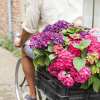 💐Outdoor Artificial Hydrangea Flowers - Buy 8 Get Extra 10% OFF & Free Shipping