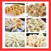 🔥Last Day Promotion- SAVE 48% OFF Set Of Dumpling Mould (Cutter & Mould)- Buy 2 get Extra 10% OFF