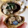 Handmade.🏠Walnut Shell Doll House--mini library, tiny World inside walnuts