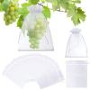 🎁TikTok Last Day Sale - 70% OFF🎉Fruit Protection Bags