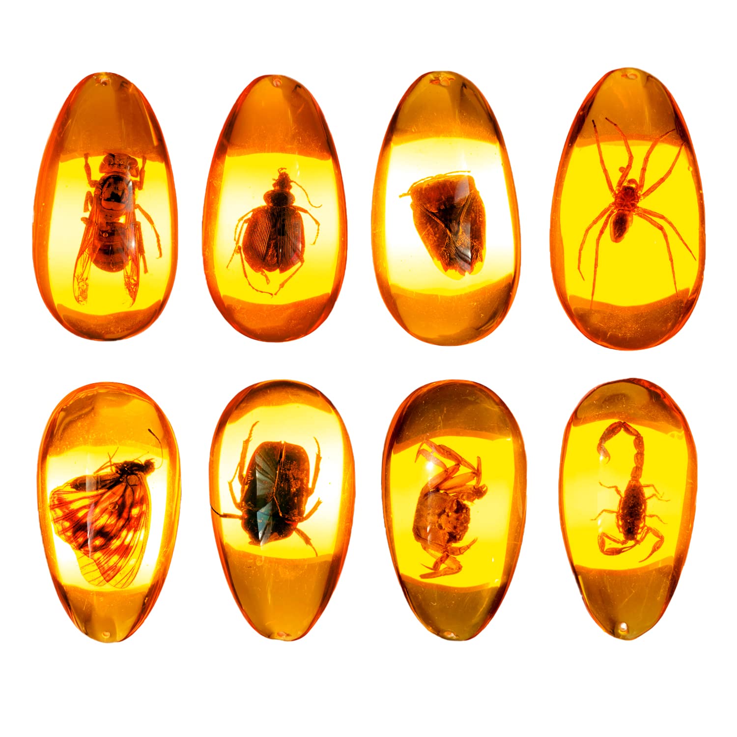 Amber Fossil Insect - Pendant Amber Stone Ornament(🔥Buy 3 get 2 free, 🔥Buy 5 get 5 free！)