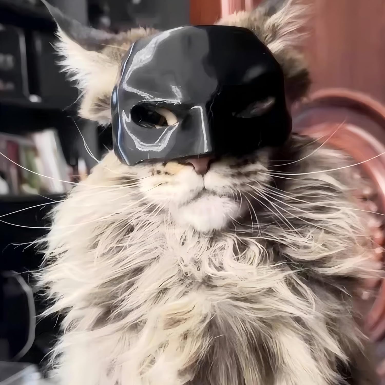 🔥LAST DAY 60% OFF - 🐱‍👤BatCat Mask