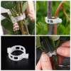 🎄Christmas Sales 48% OFF🔥Plant Support Clips