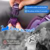 Cat Harness & Leash