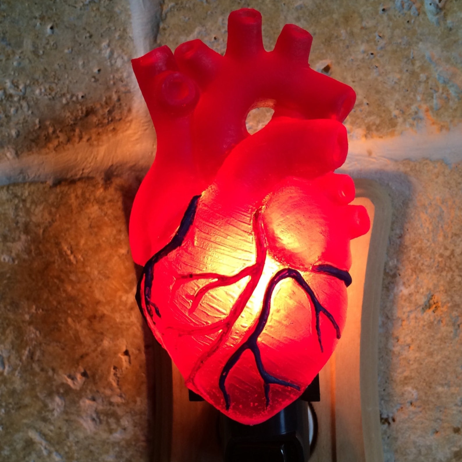 Anatomical Heart Nightlight