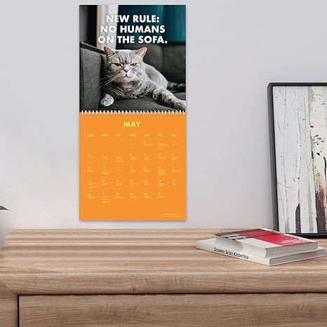 (🎄EARLY CHRISTMAS SALE - 50% OFF) 🎁🐱2024 Pissed-Off Cats Calendar | Funny Christmas Present📅