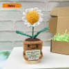 Handmade Crochet Sunflower/Heart flower/Daisy