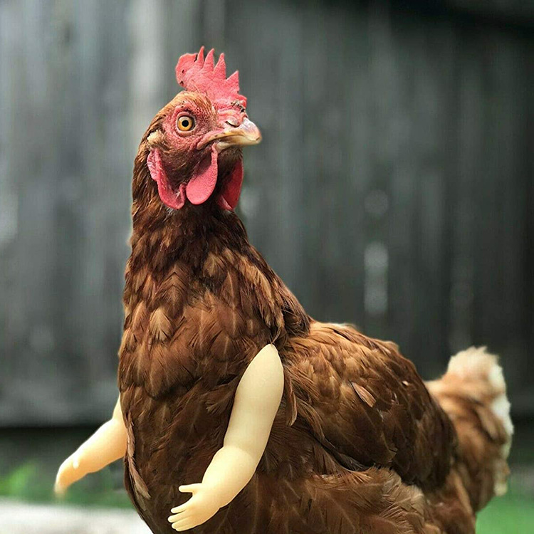 🔥Last Day Promotion - 60% OFF🎁🤣🐔💪Funny Chicken Arms