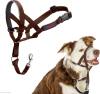 HALTI Headcollar - To Stop Your Dog Pulling on the Leash. Adjustable, Reflective and Lightweight, with Padded Nose Band. Dog Training Anti-Pull Collar for Medium Dogs (Size 3, Red)