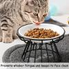 💲Mother's Day hot sale💲Whisker-Friendly Anti-Vomit Cat Plate 🥣BUY 2 GET EXTRA 5% OFF&FREE SHIPPING