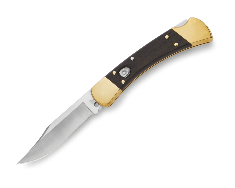 BK-110 Auto Folding Hunter Knife