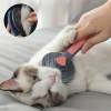 Last Day Promotion 48% OFF - Pet Grooming Brush(BUY 2 GET 1 FREE NOW)