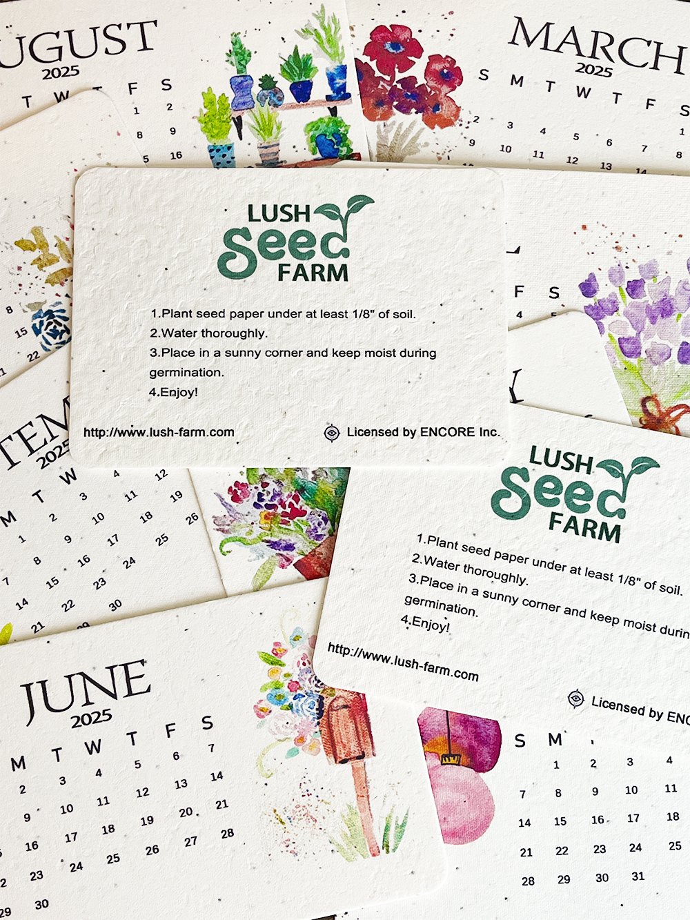 ✨New Year 49% OFF🌱Eco-Friendly Plantable Love Seed Calendar 2025