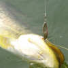 Metal VIB Leech Spinners Spoon Lure