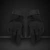Wild Guard gloves