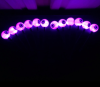 🎁TikTok Last Day Sale - 70% OFF🔥Scary Eyeballs Swaying Firefly Lights