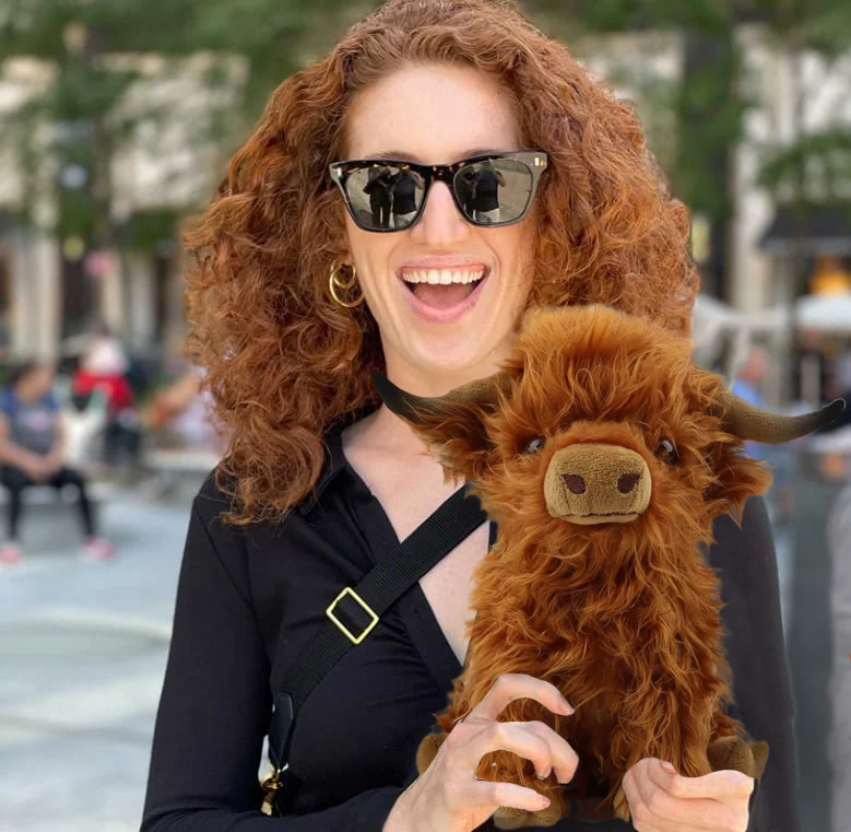 🔥🎁Scottish Handmade Highland Cattle