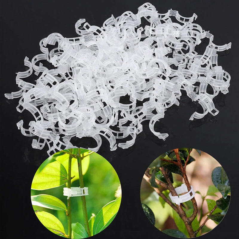Last Day Promotion - 🔥Plant Support Clips