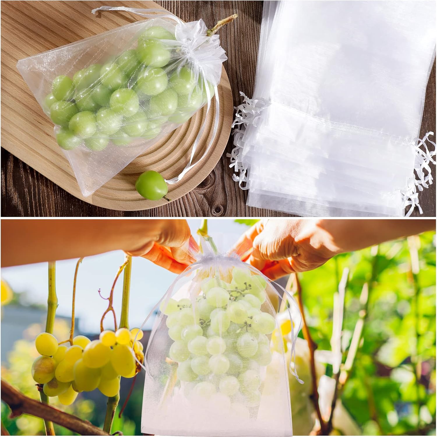 🎁TikTok Last Day Sale - 70% OFF🎉Fruit Protection Bags