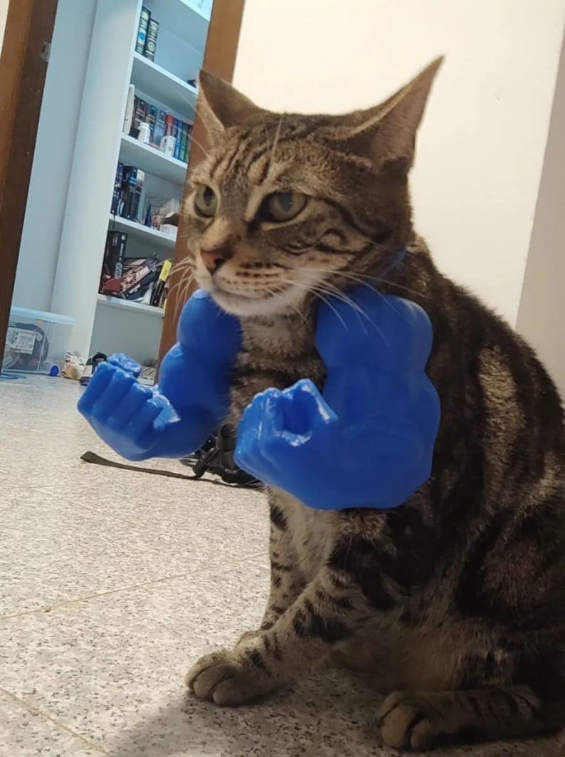 🎁Last Day Sale - 70% OFF🔥Creative Pets Green Giant arm💪
