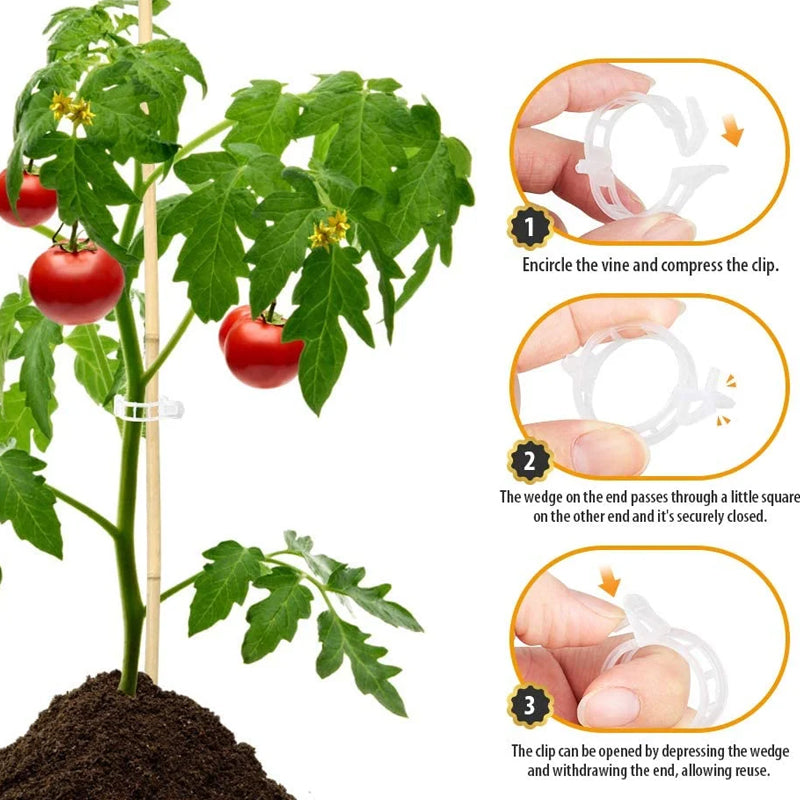 Last Day Promotion - 🔥Plant Support Clips