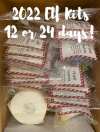 🎄Christmas Hot Sale 70% OFF🎄2022 Elf Kit 24 Days of Christmas