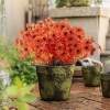 Realistic Fall Fake Flowers UV Resistant